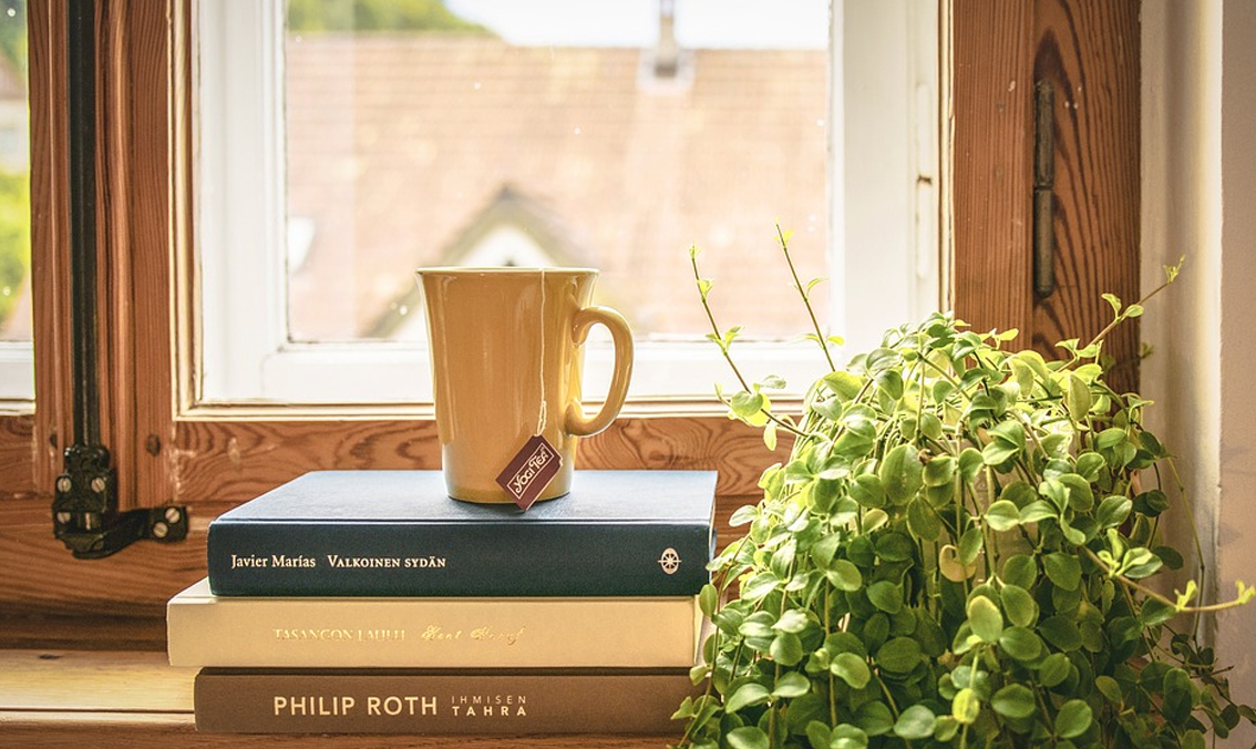 Plantas para el interior de tu hogar